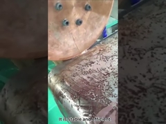 Lassen van de naadlassen van de watervat