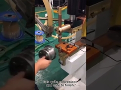 Het laswerk van de moer van de vaste pleklassen