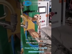 De moervoeder voor de vaste pleklassen